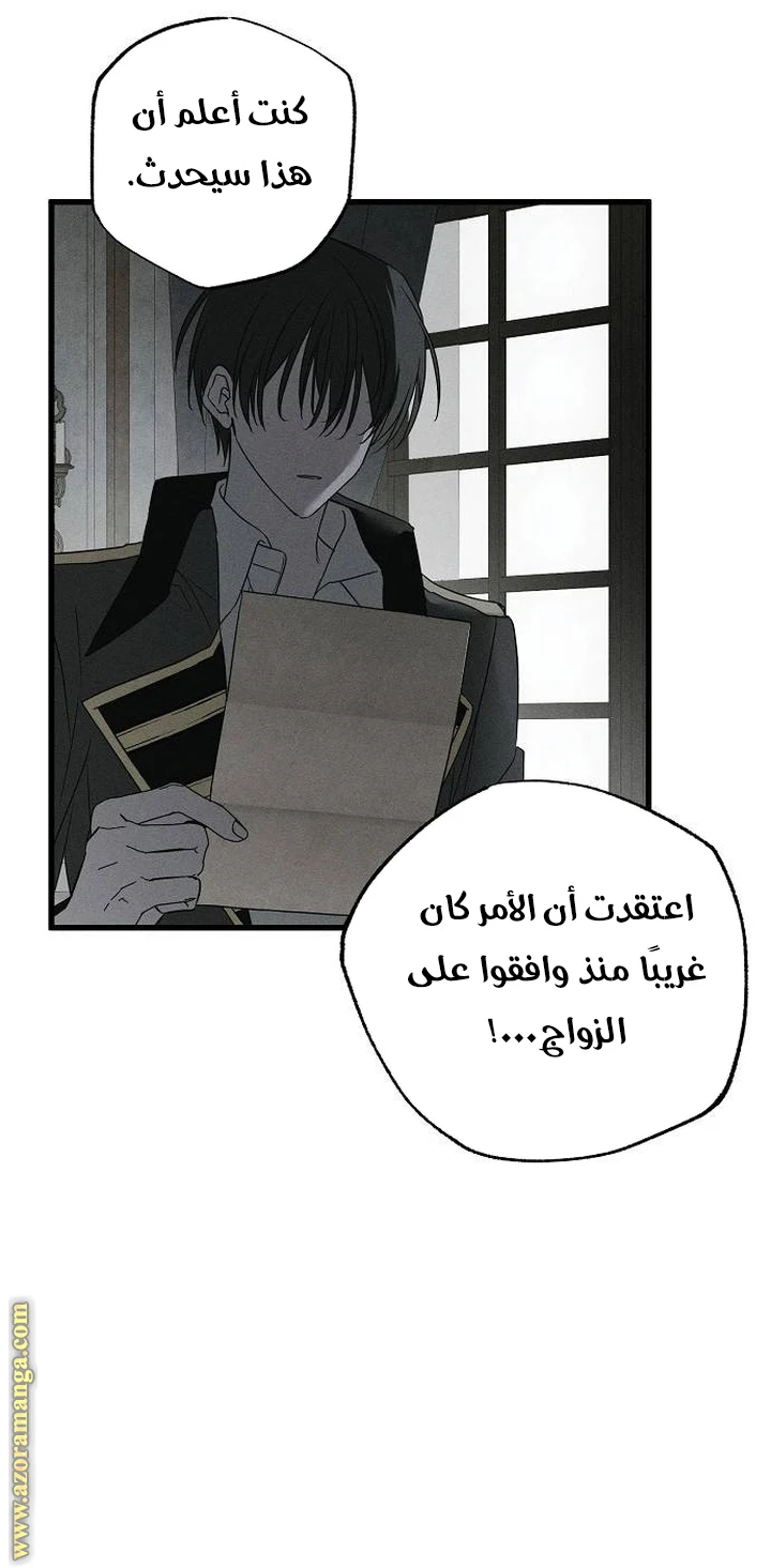 الصفحة 52
