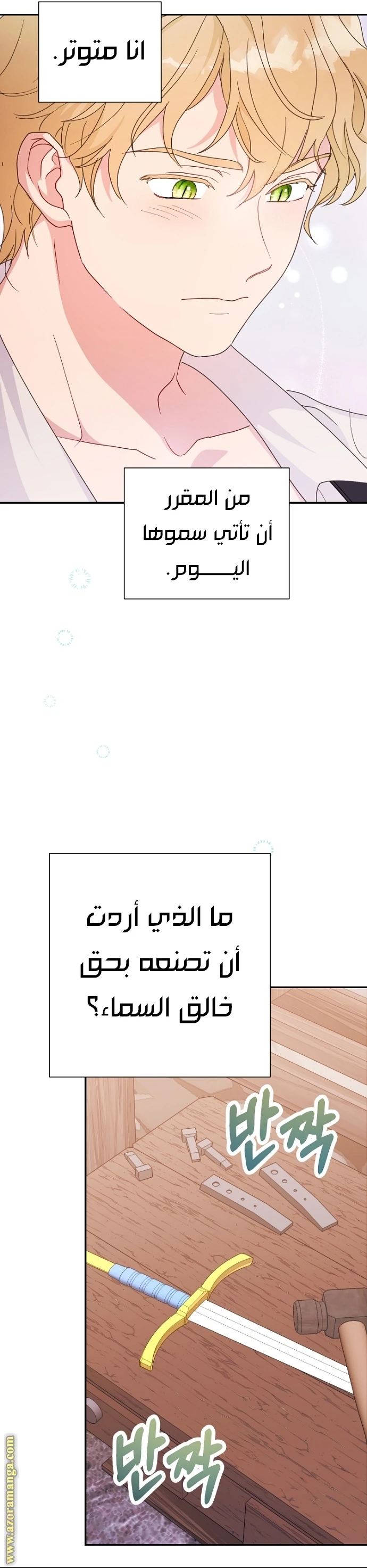 الصفحة 11