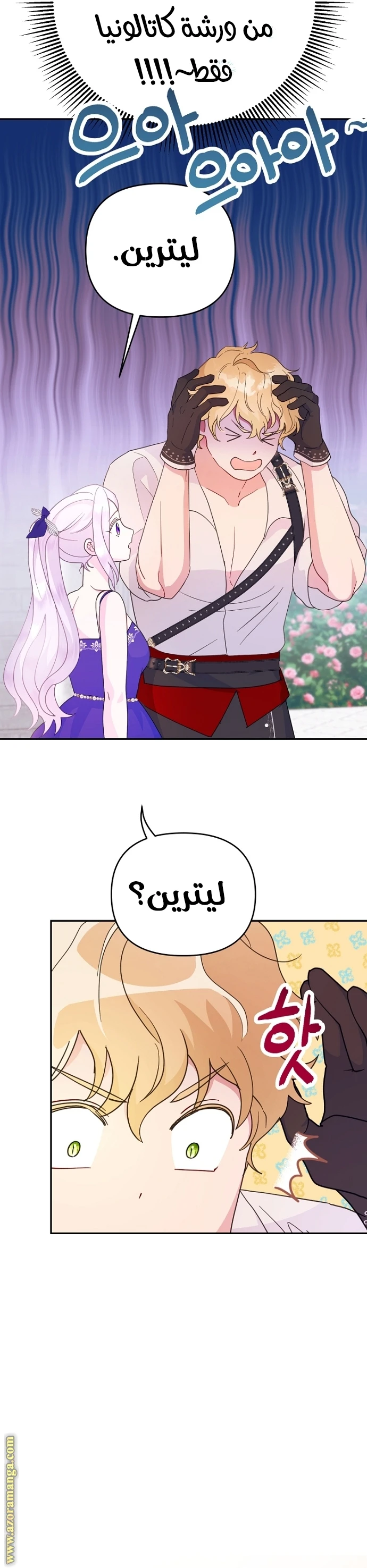 الصفحة 15