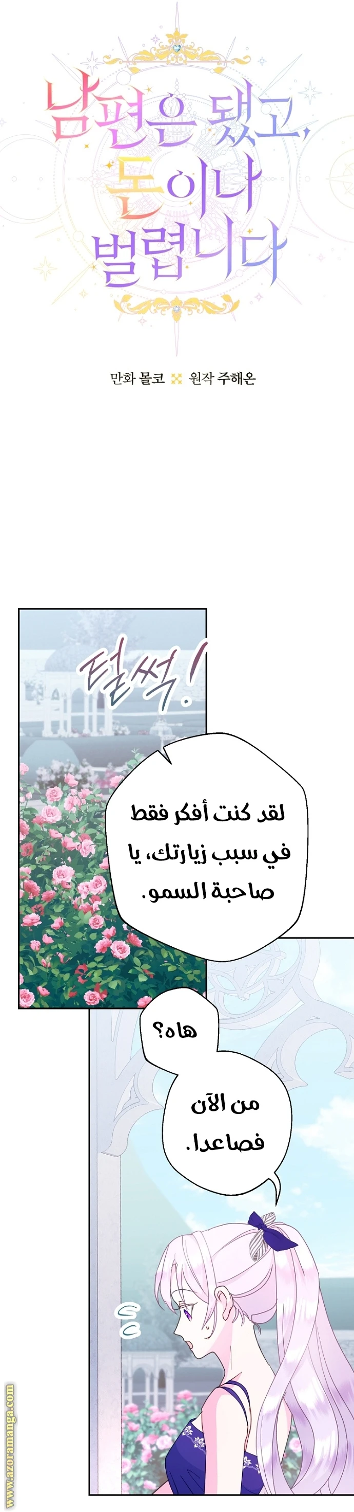 الصفحة 17
