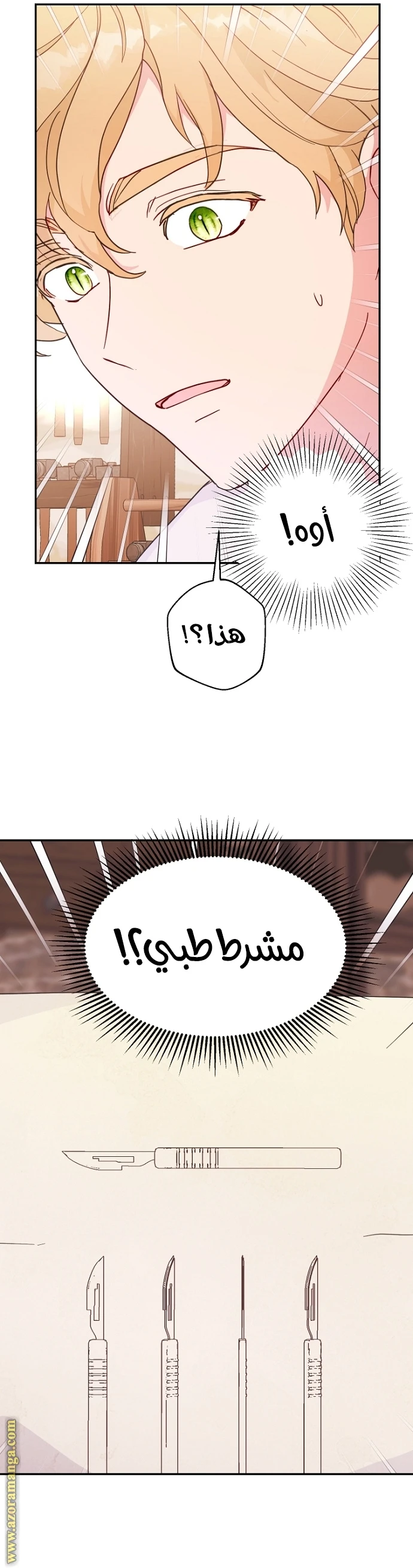 الصفحة 24