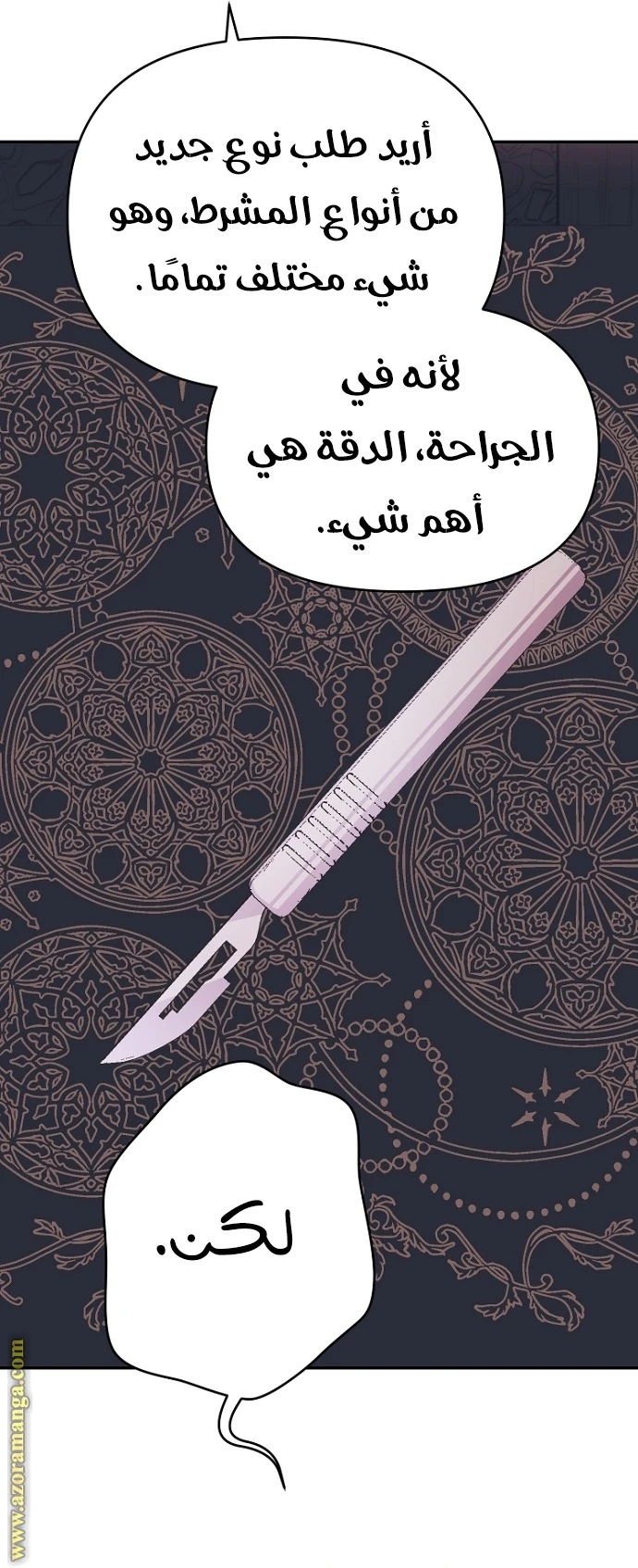 الصفحة 27