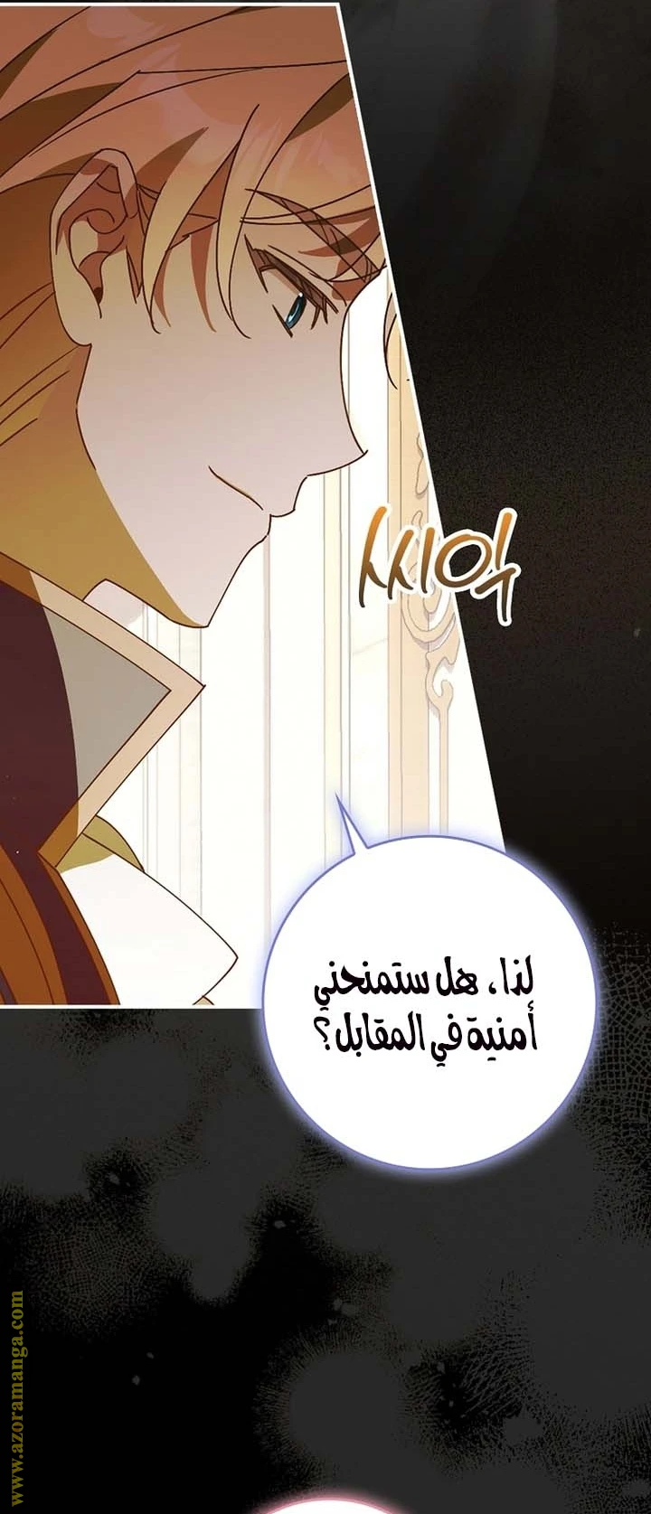 الصفحة 13