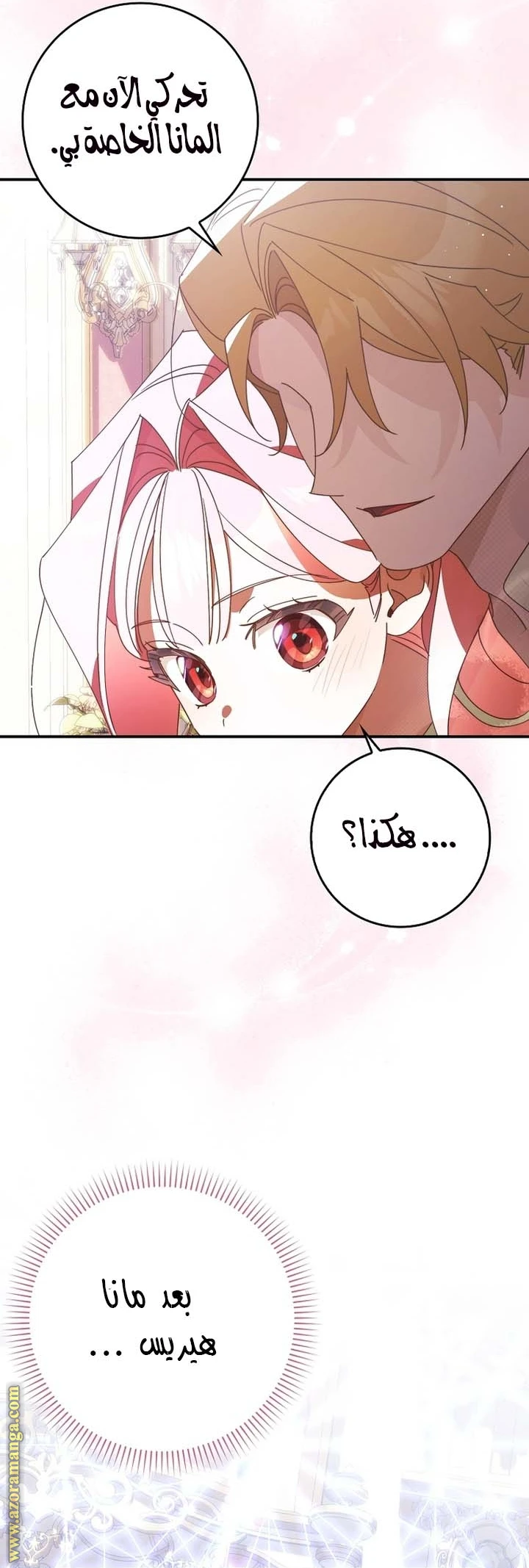 الصفحة 27