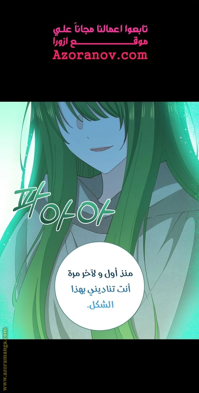 الصفحة 25