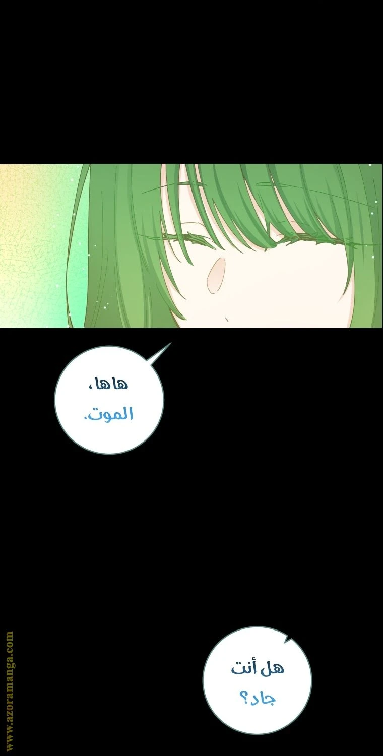 الصفحة 29