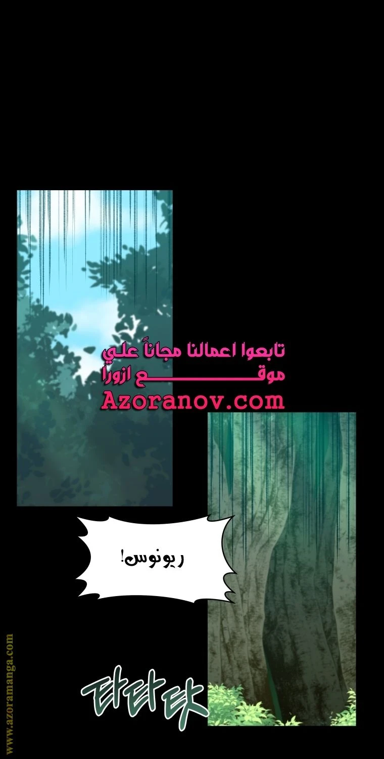 الصفحة 41