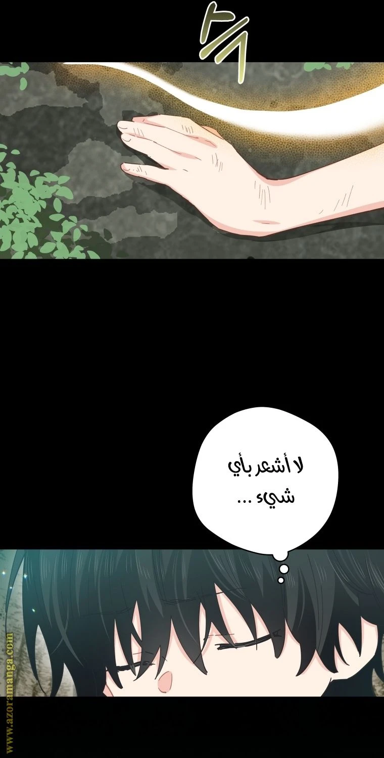 الصفحة 44