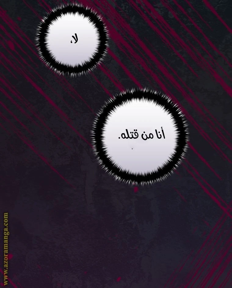 الصفحة 46