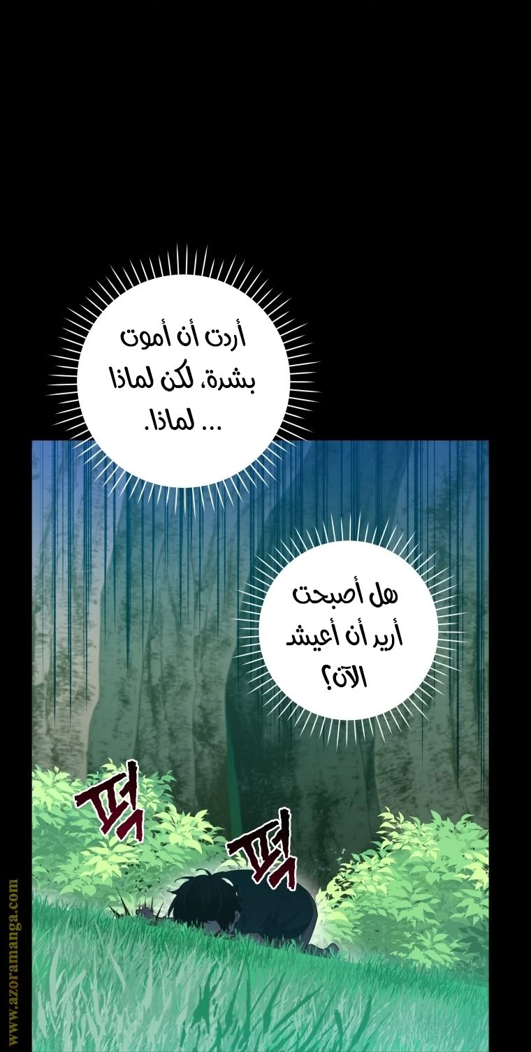 الصفحة 49