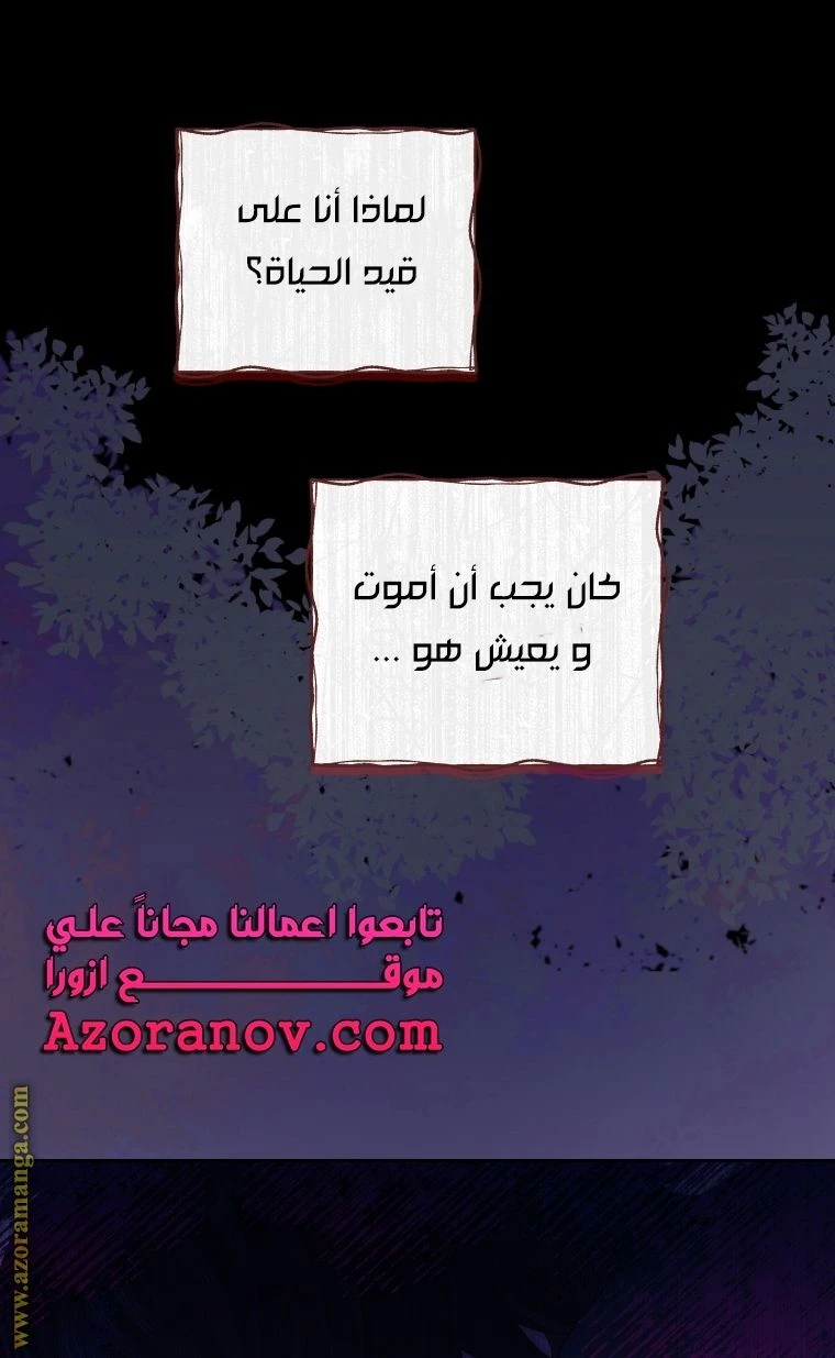 الصفحة 52