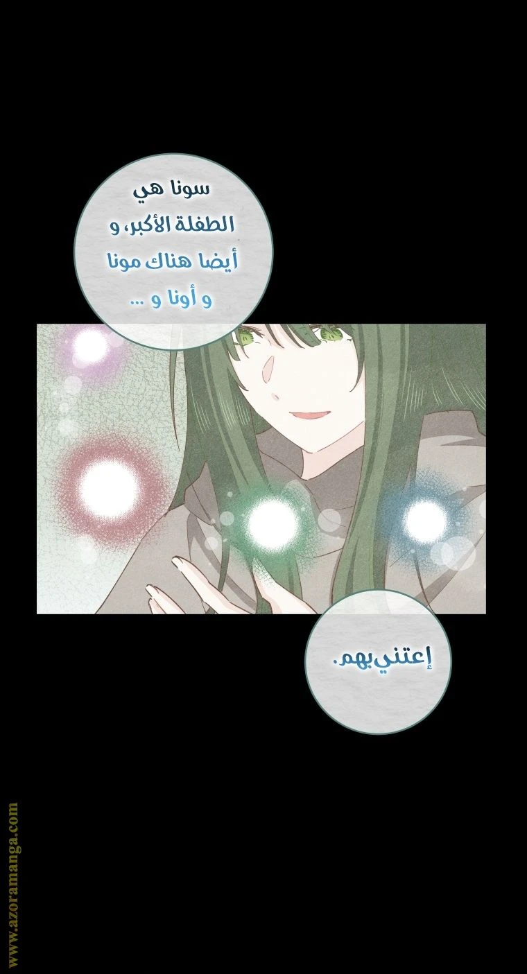الصفحة 61