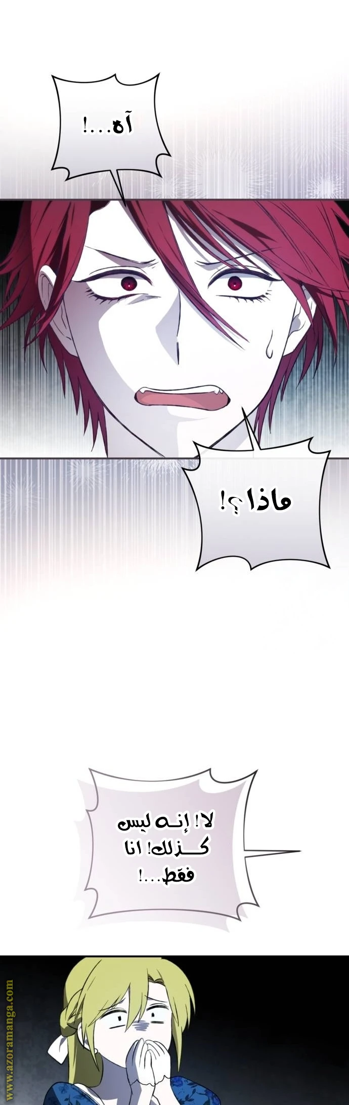 الصفحة 29