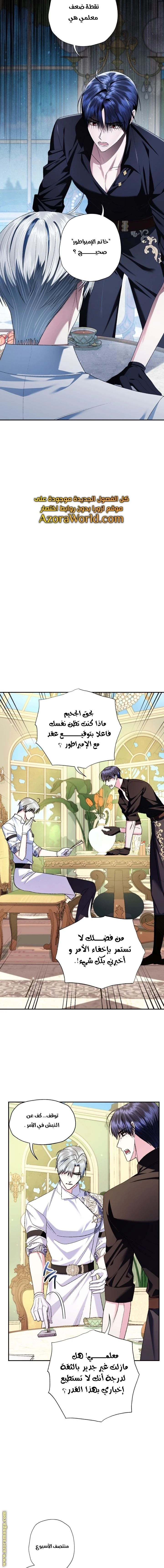 الصفحة 12