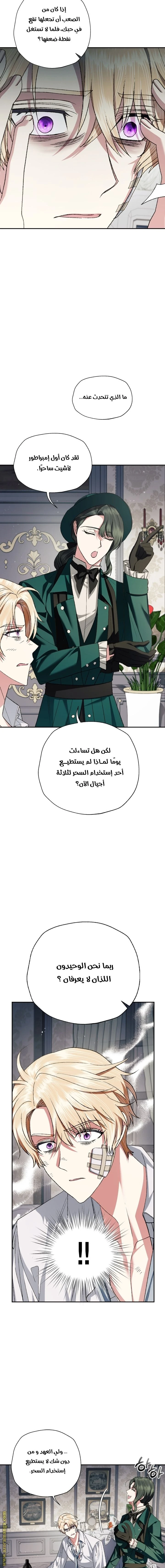 الصفحة 17