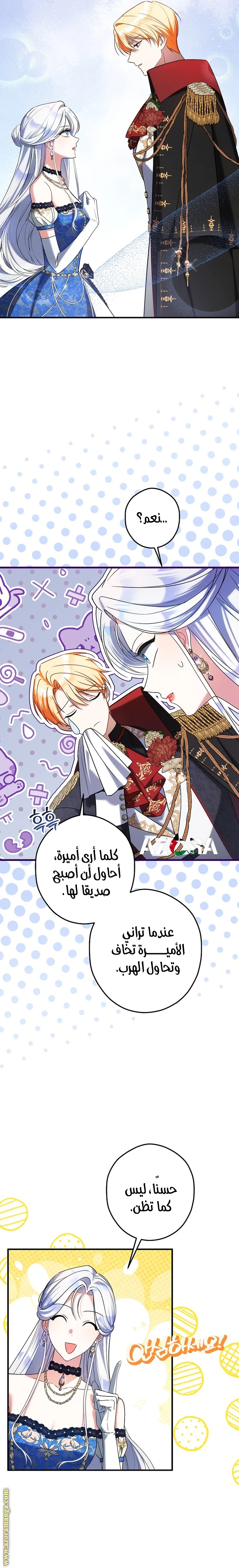 الصفحة 25