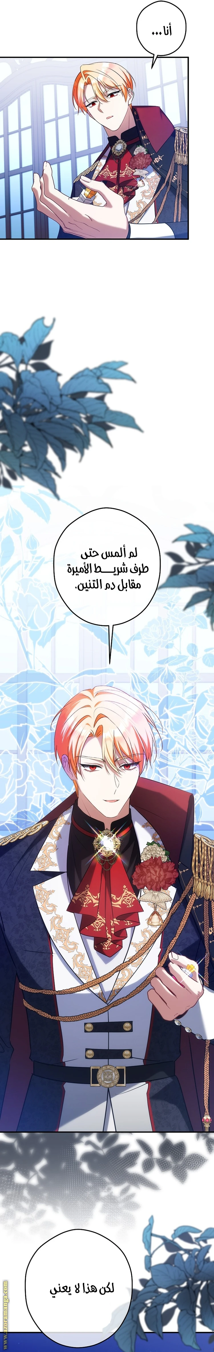 الصفحة 27