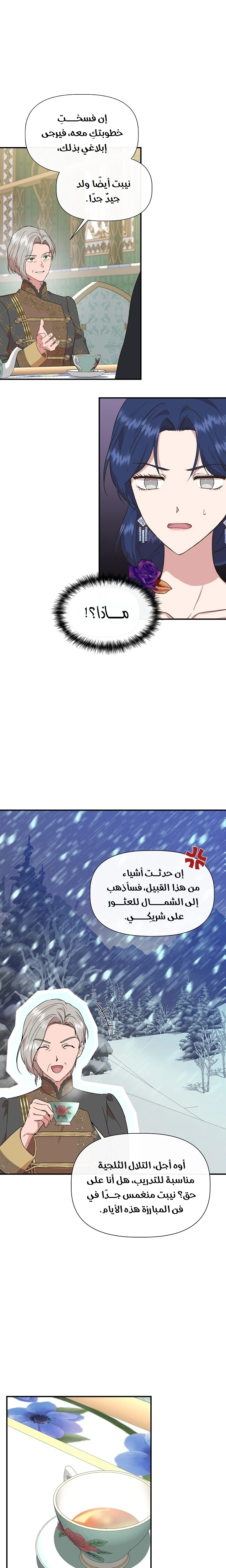 الصفحة 15