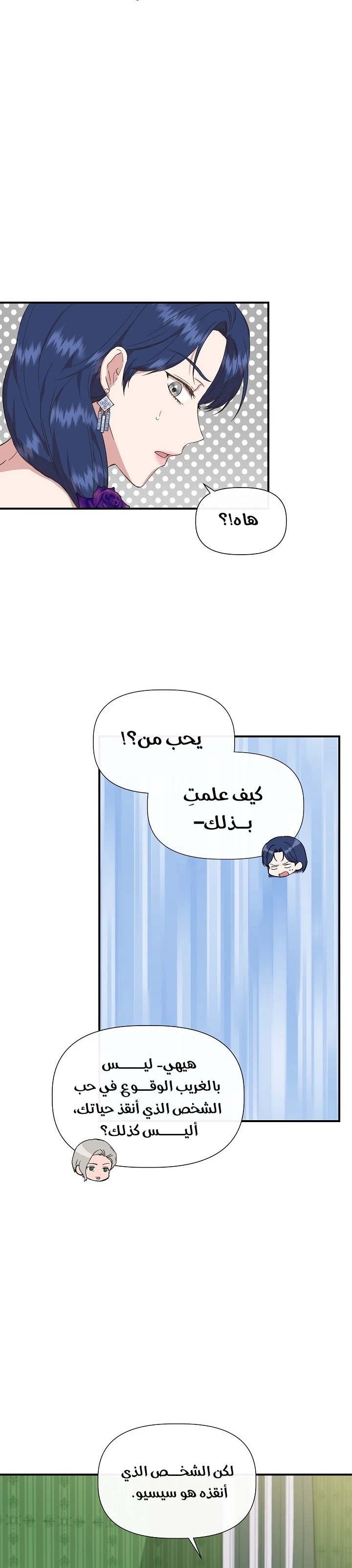 الصفحة 17