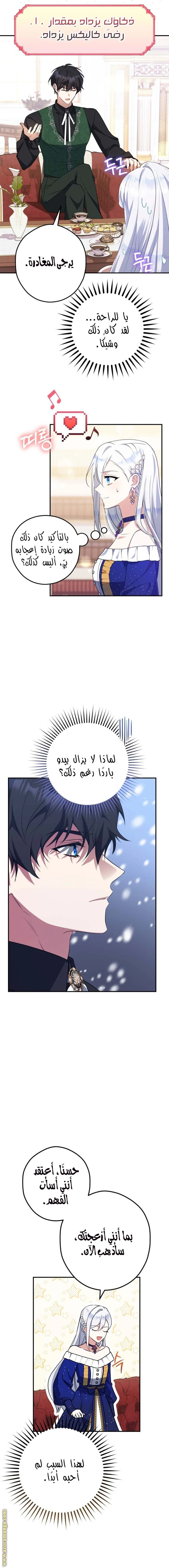 الصفحة 8