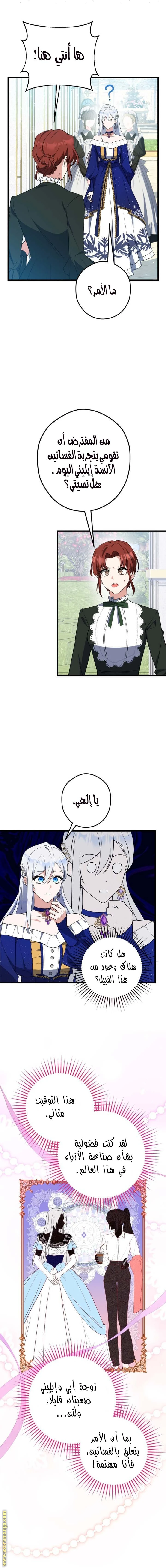 الصفحة 11
