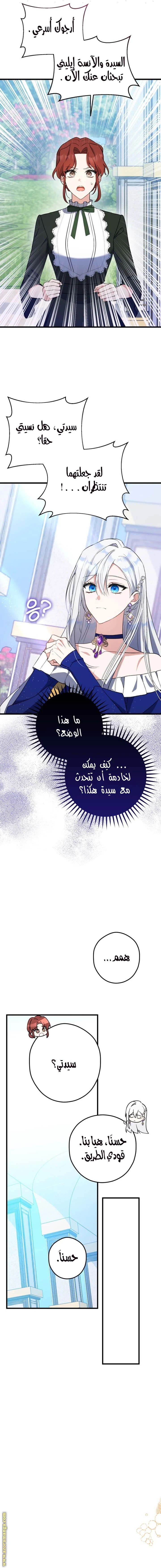 الصفحة 12