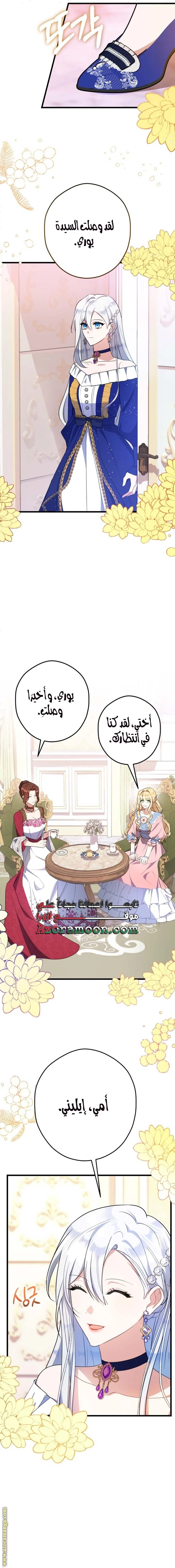 الصفحة 13