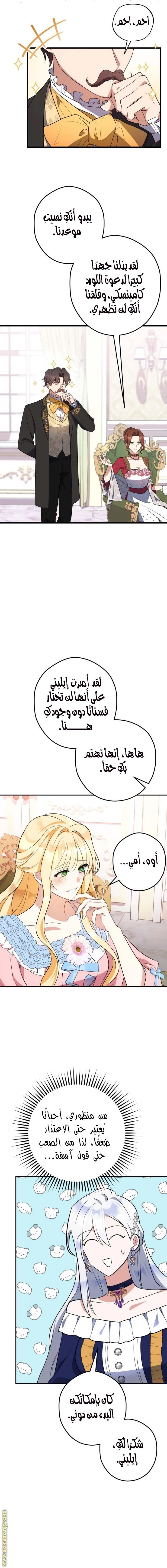 الصفحة 14