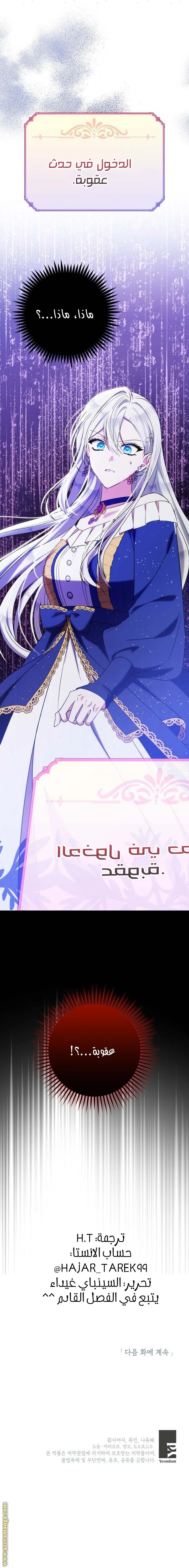 الصفحة 17