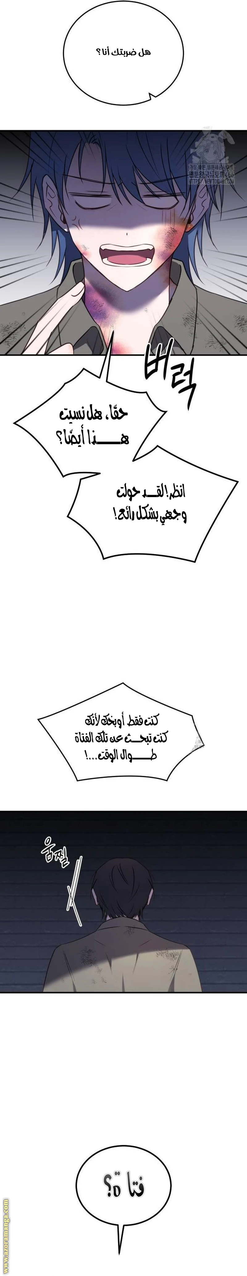 الصفحة 25