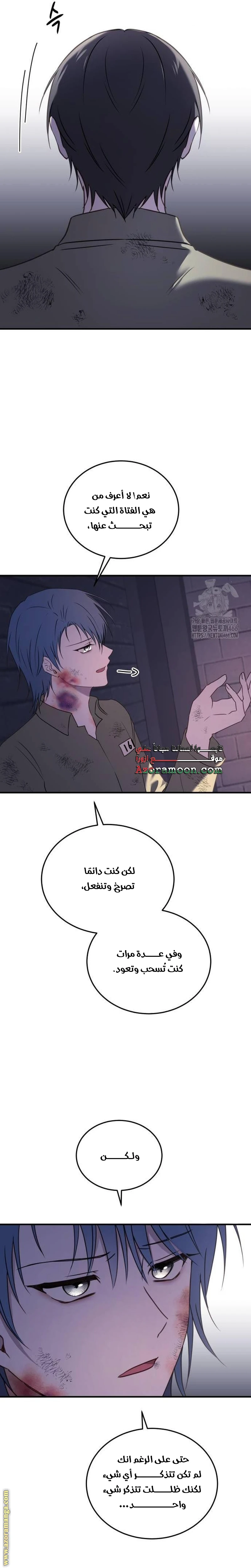 الصفحة 26