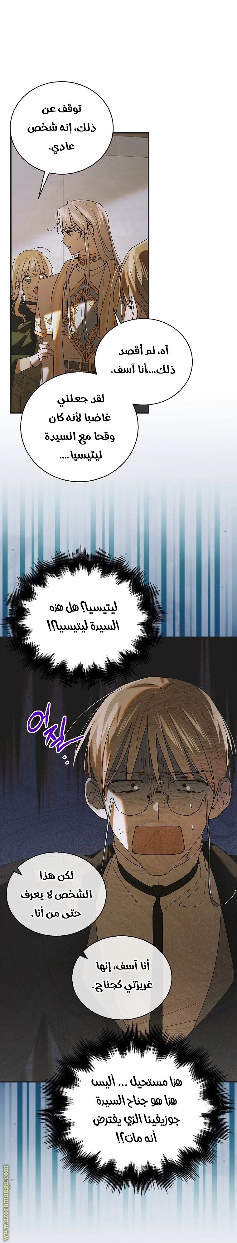 الصفحة 29