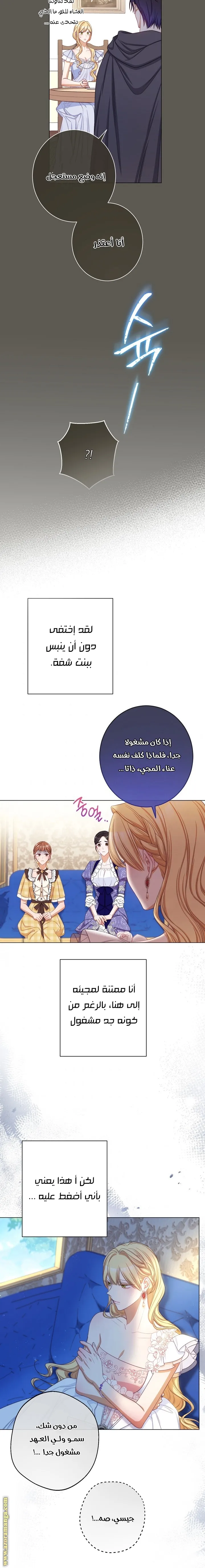 الصفحة 15