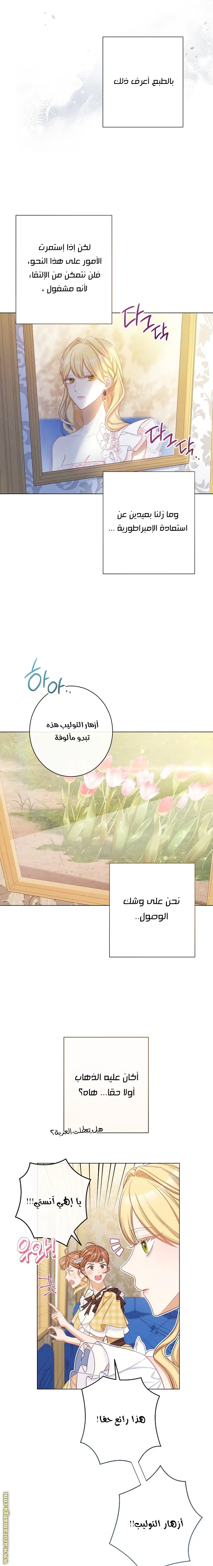 الصفحة 16
