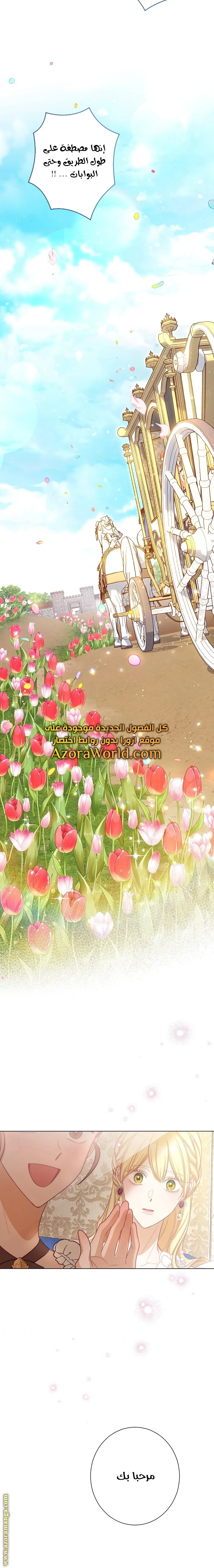 الصفحة 17