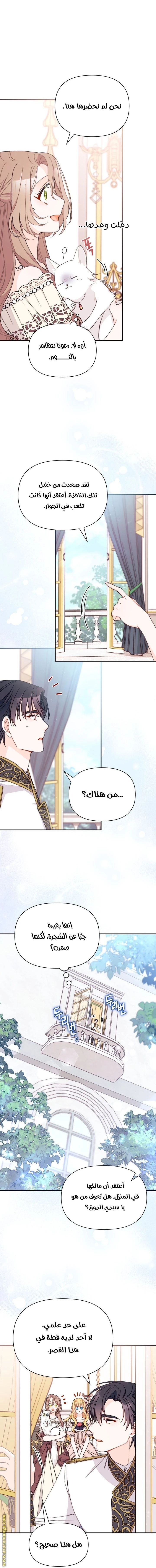 الصفحة 11