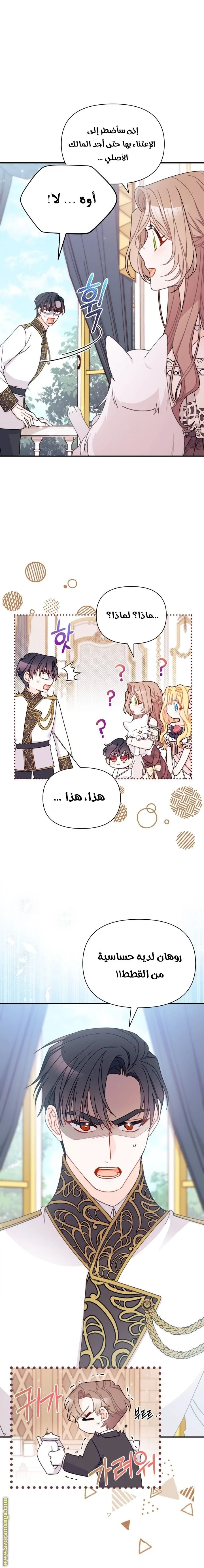 الصفحة 12