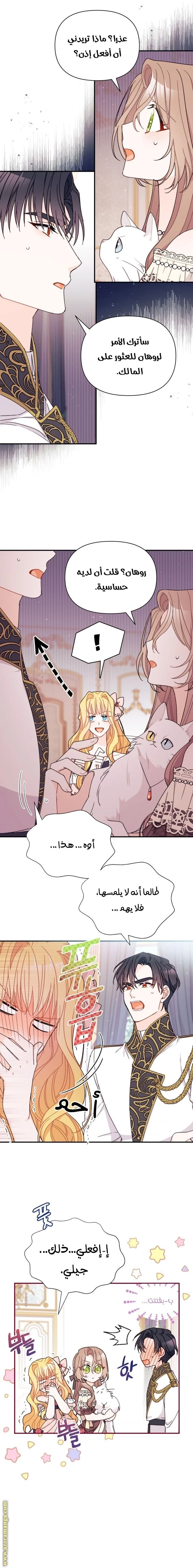 الصفحة 15