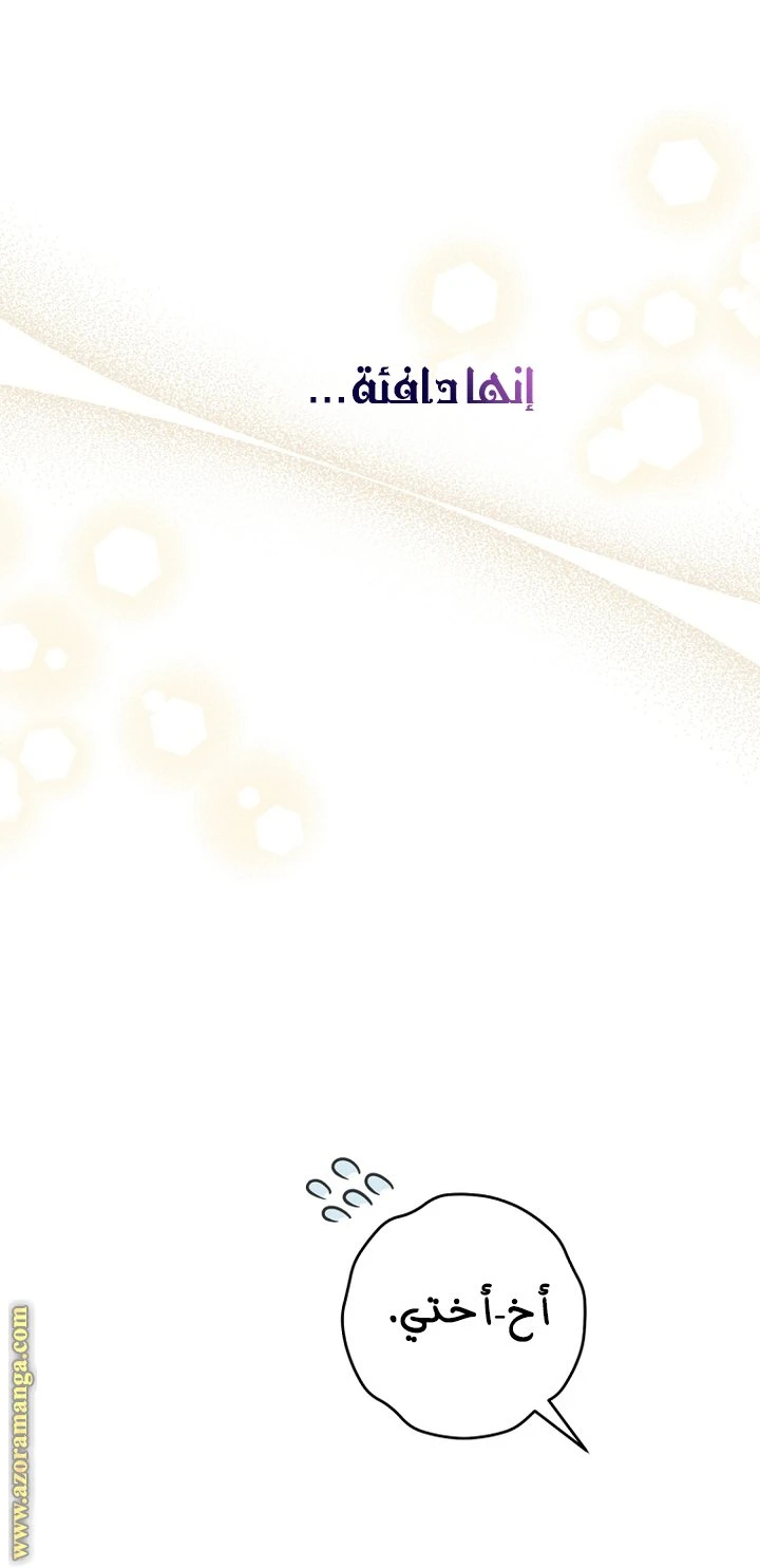 الصفحة 52