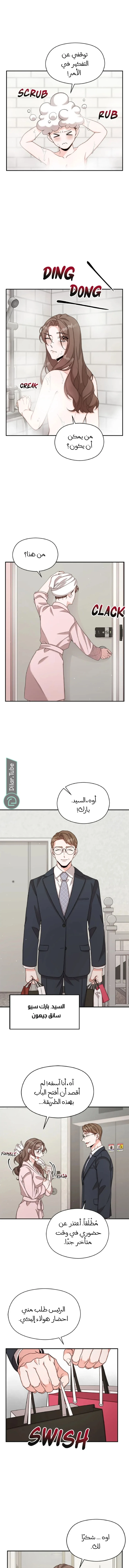 الصفحة 3