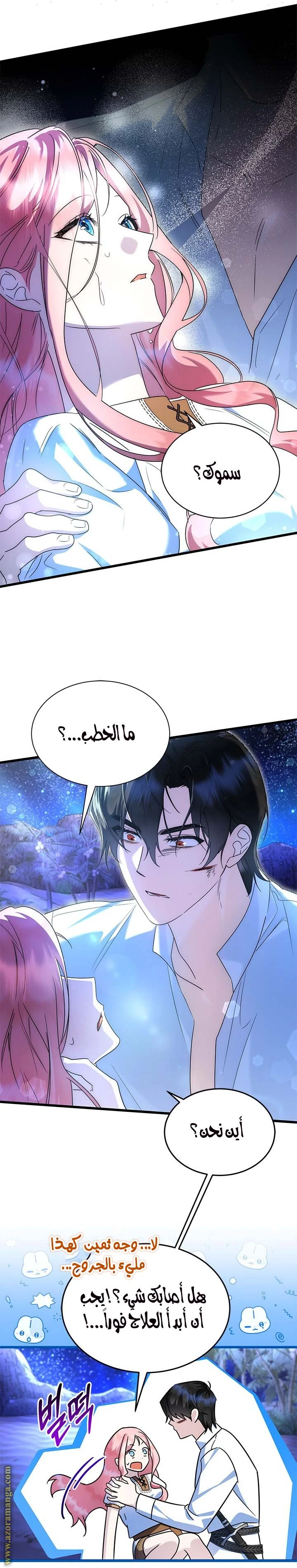 الصفحة 14