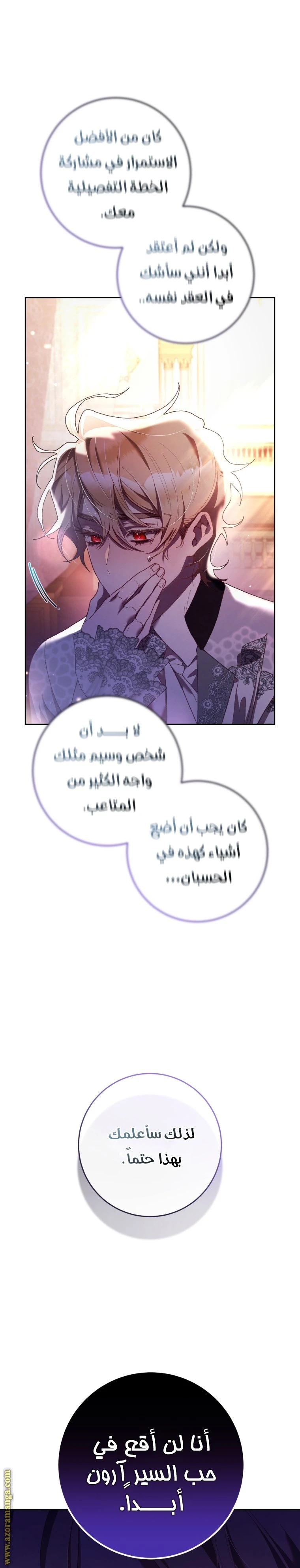 الصفحة 17