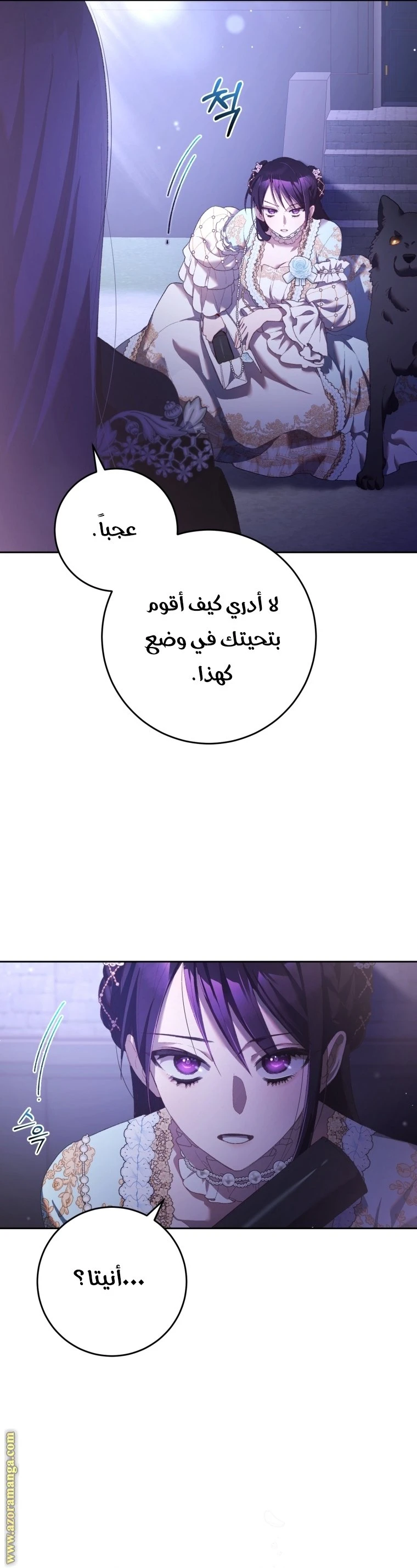الصفحة 25