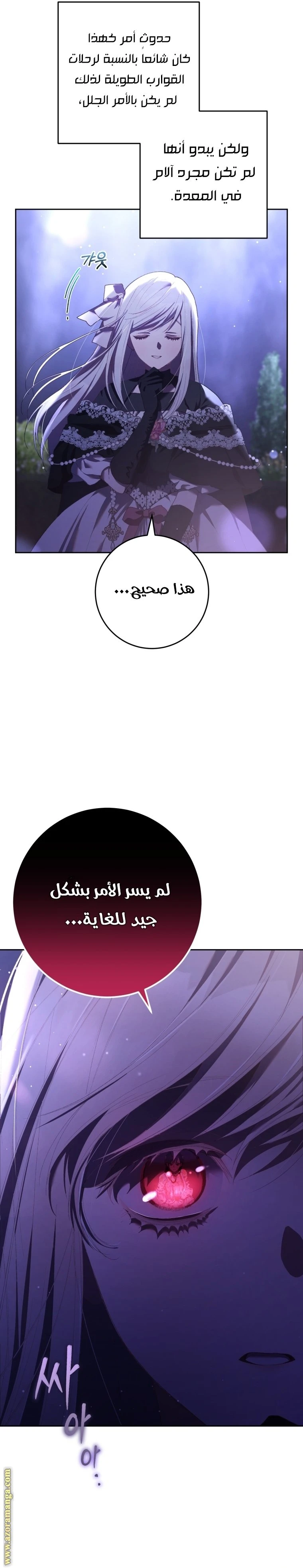 الصفحة 29