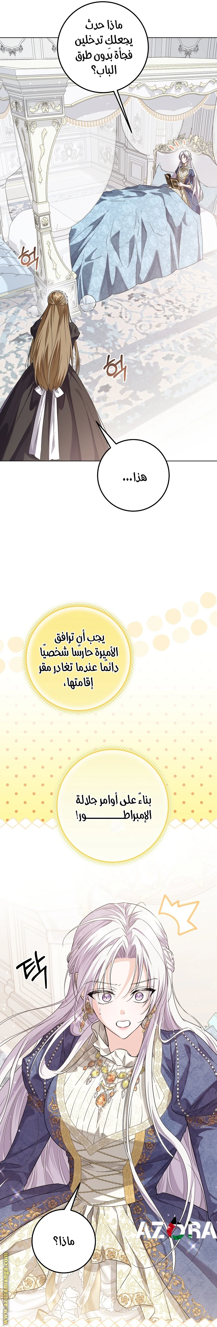 الصفحة 25