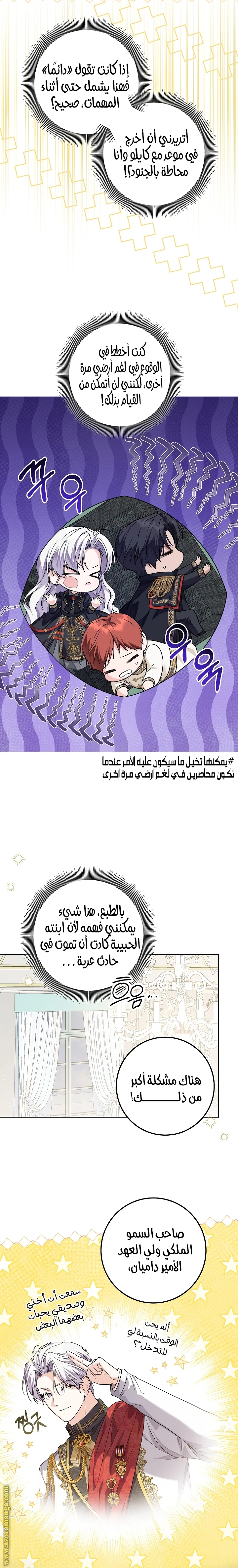 الصفحة 26