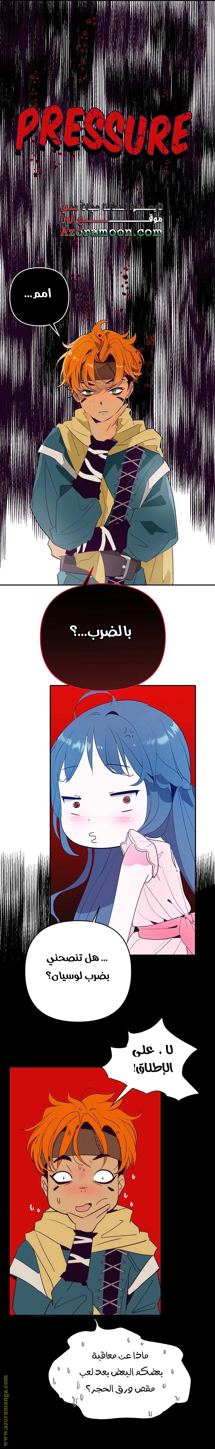 الصفحة 17