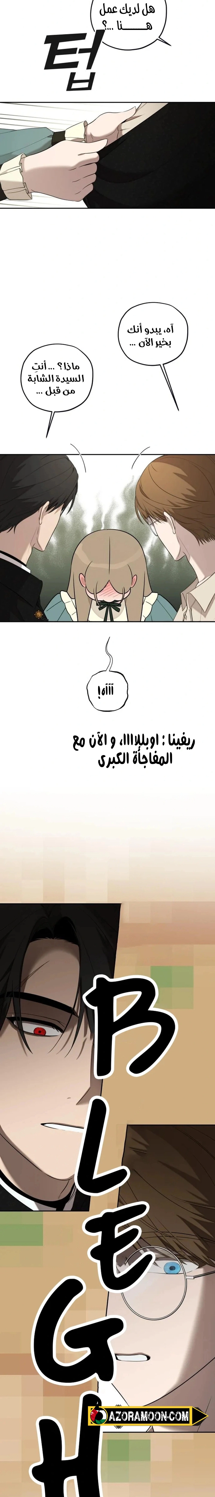 الصفحة 17