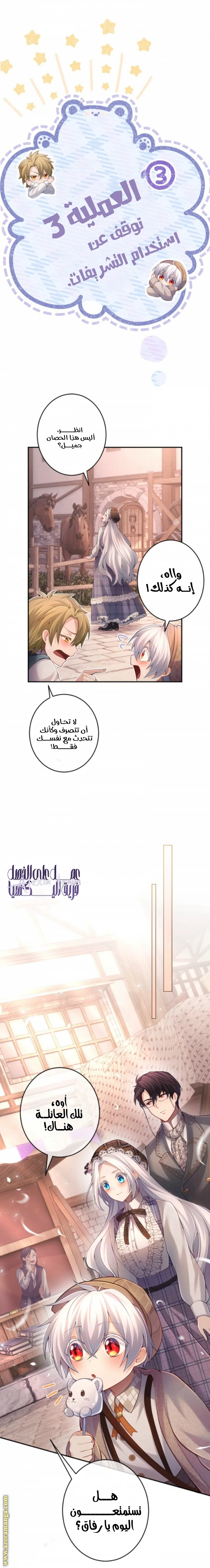 الصفحة 15
