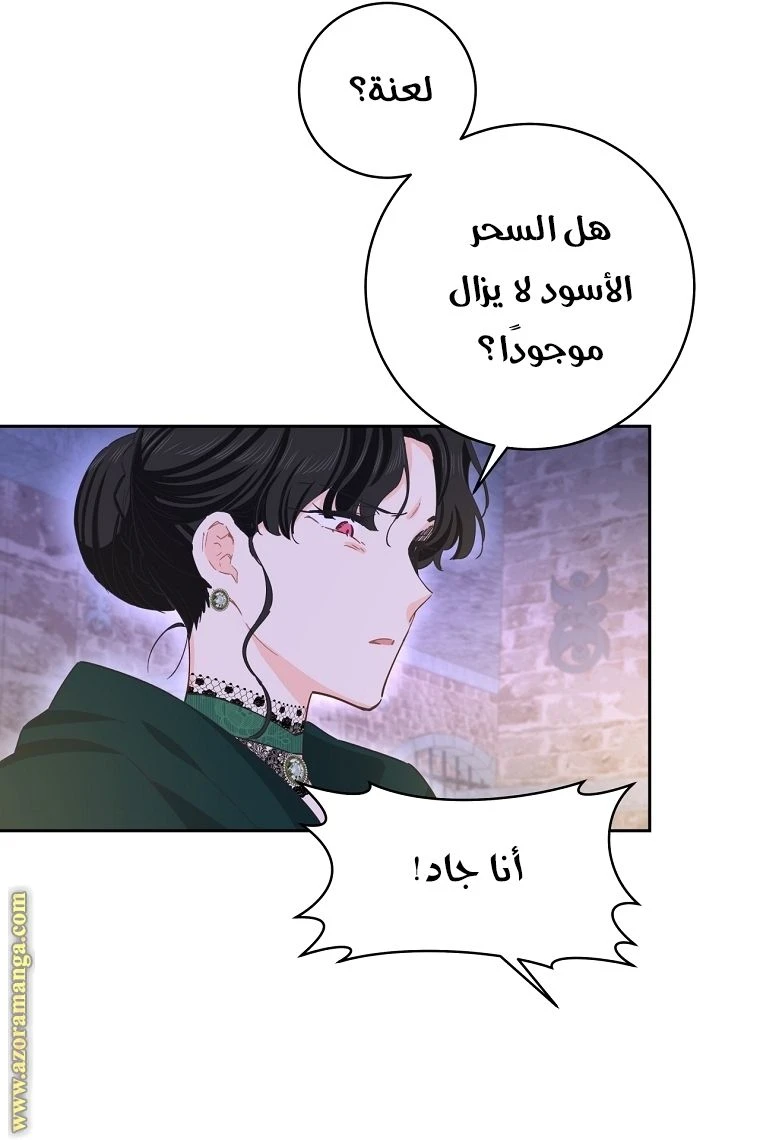 الصفحة 21